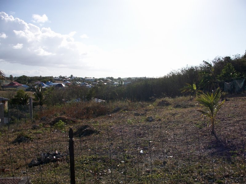 Achat terrain Le Moule (97160) Guadeloupe Grande Terre Nord Réf