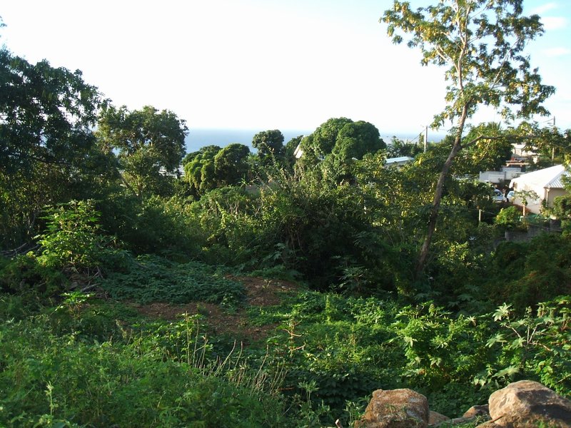 Achat terrain SainteClotilde (97490) Réunion Nord Réf. 5461755