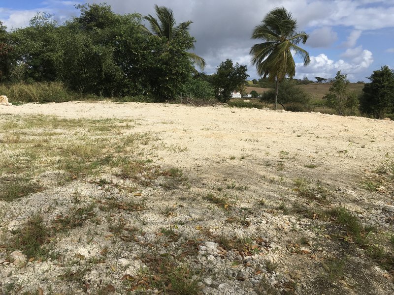 Achat terrain Le Moule (97160) Guadeloupe Grande Terre Nord Réf. TEE