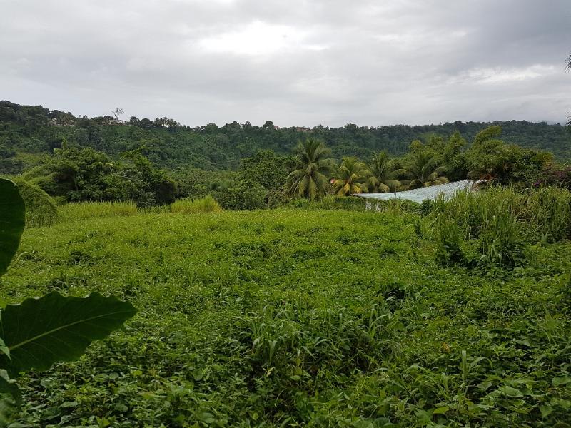 Achat terrain Petit Bourg (97170) Guadeloupe Basse Terre Nord Réf