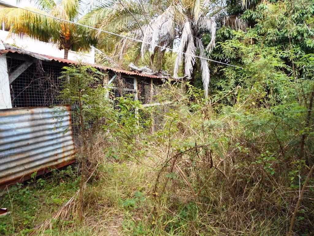 Achat maison Etang Salé (97427) Réunion Sud Réf. 2410