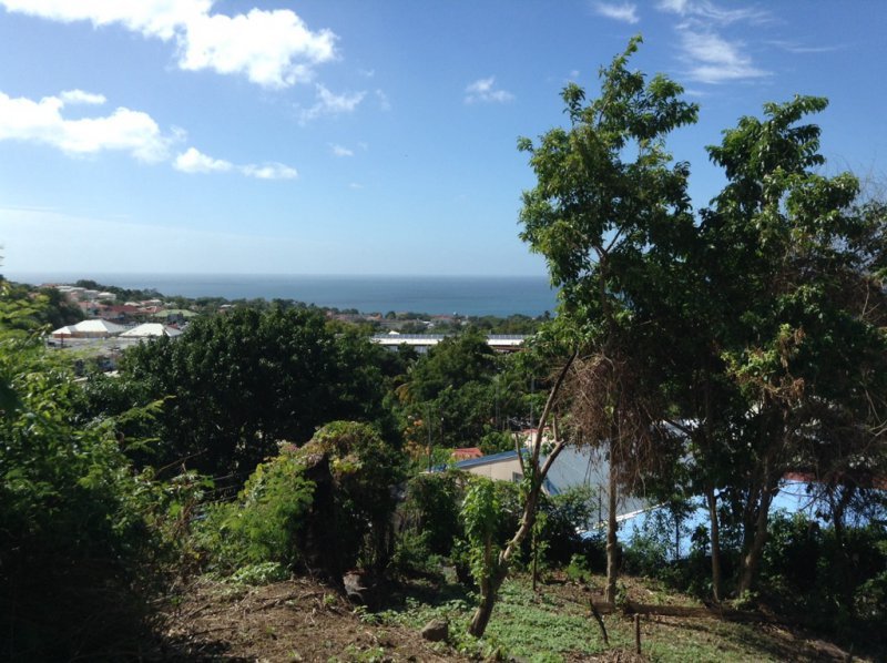 Achat terrain SaintClaude (97120) Guadeloupe Basse Terre Sud Réf. 2249