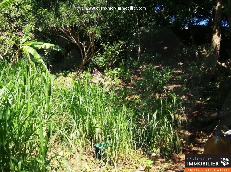 Achat terrain SainteClotilde (97490) Réunion Nord Réf. 1342