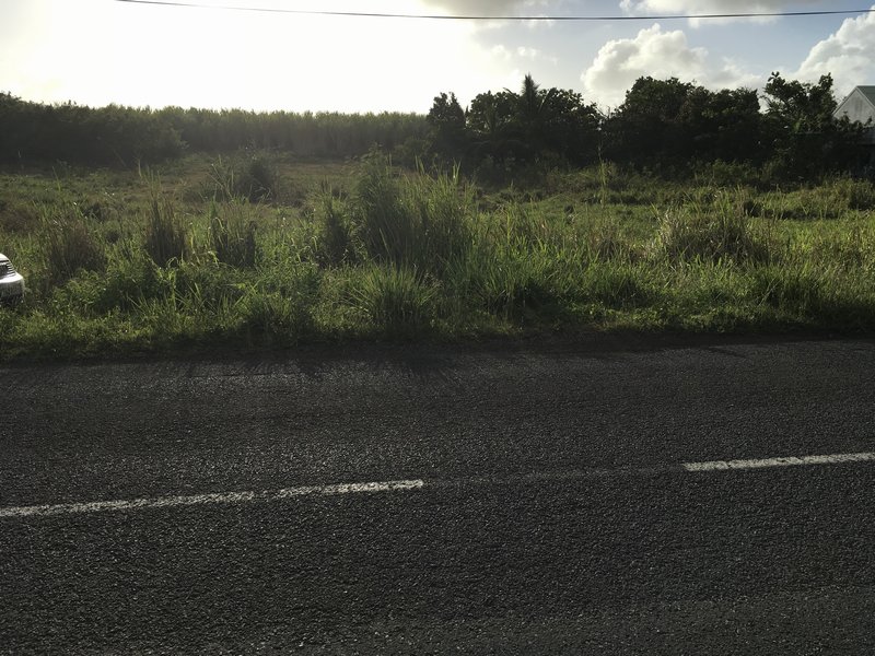 Achat terrain Petit Canal (97131) Guadeloupe Grande Terre Nord Réf. TERVTE79138