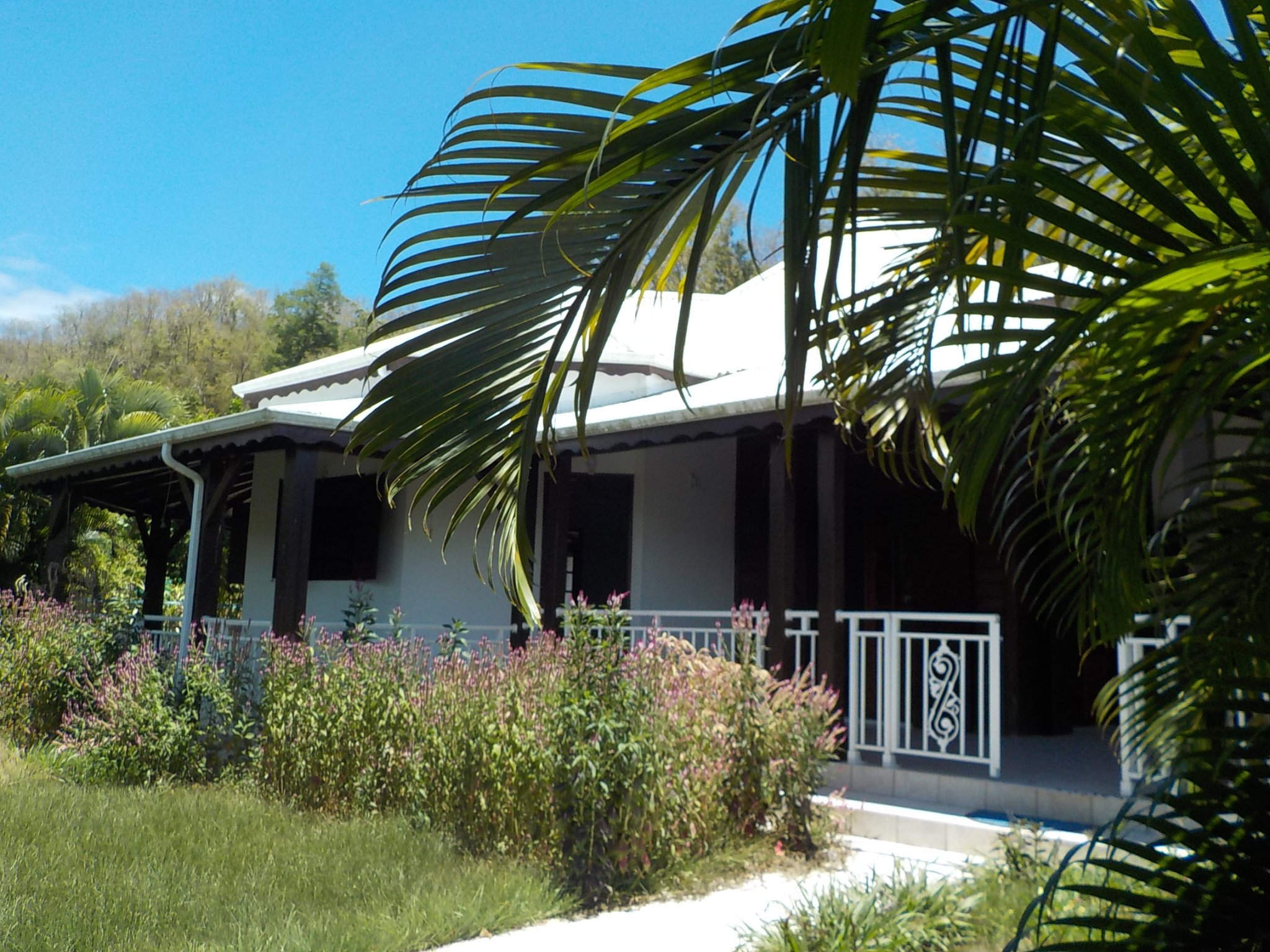 Achat maison Pointe Noire (97116) Guadeloupe Basse Terre Nord Réf. 0156