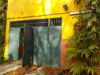 Location  Local Commercial Pointe Noire (97116) - GUADELOUPE