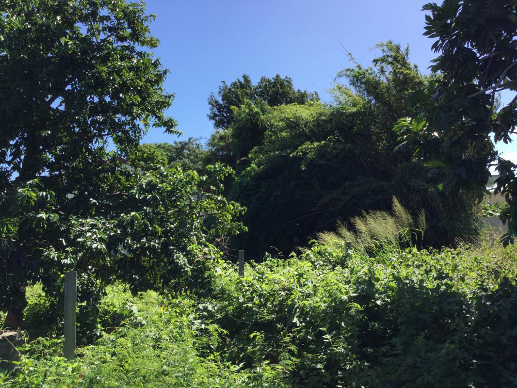 Achat terrain SainteMarie (97438) Réunion Nord Réf. 000239