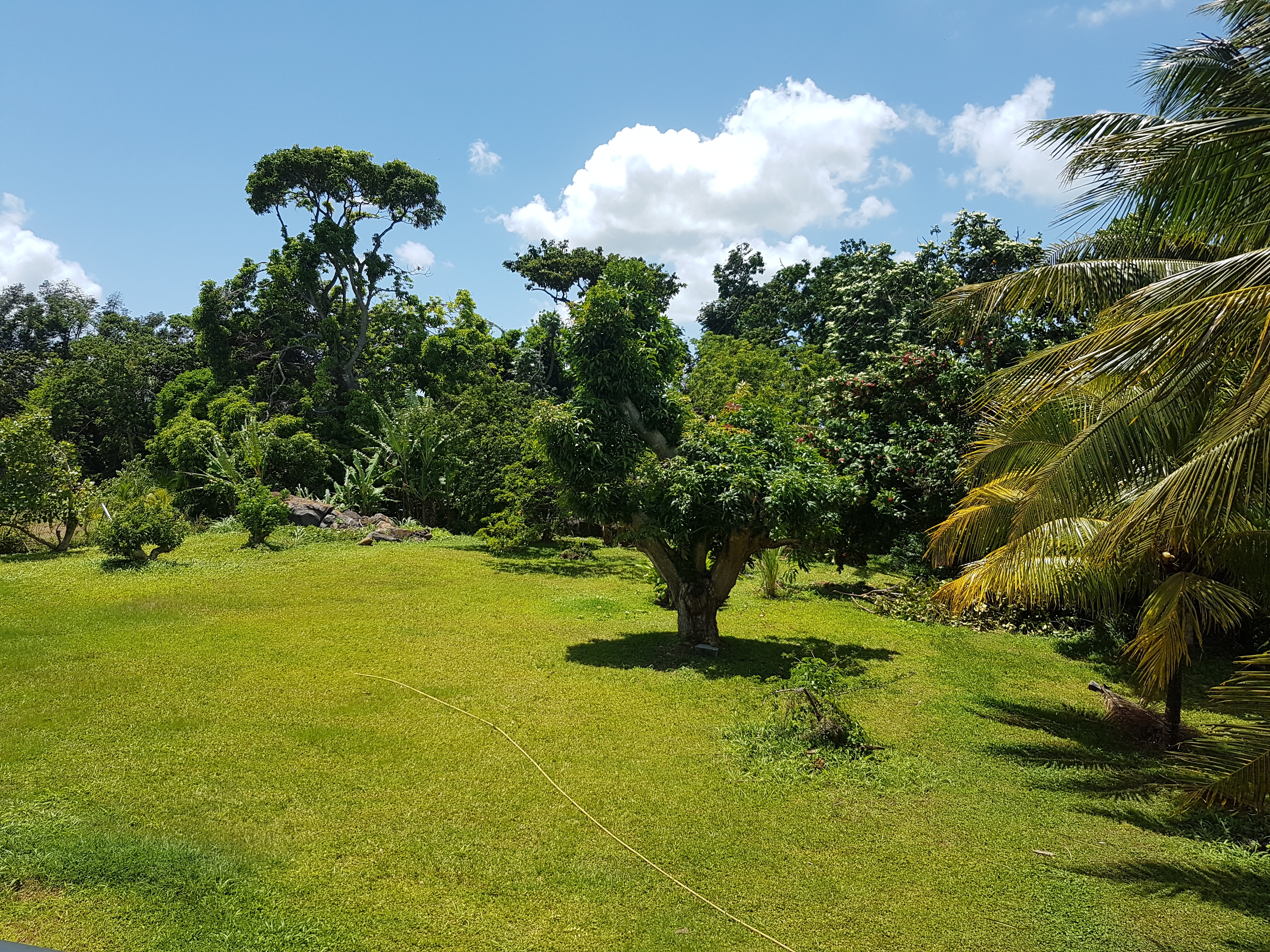 Achat propriété de 4002 m² sainte rose SainteRose (97115) Guadeloupe