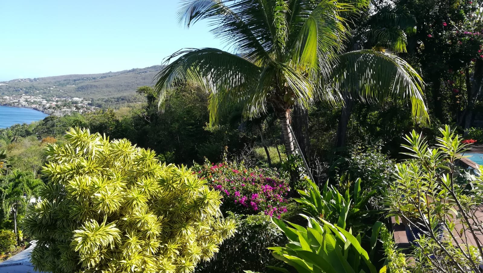 Achat villa Pointe Noire (97116) Guadeloupe Basse Terre Nord Réf. 2584