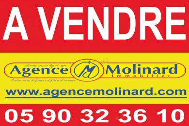 Achat  Local Commercial Basse Terre (97100) - GUADELOUPE