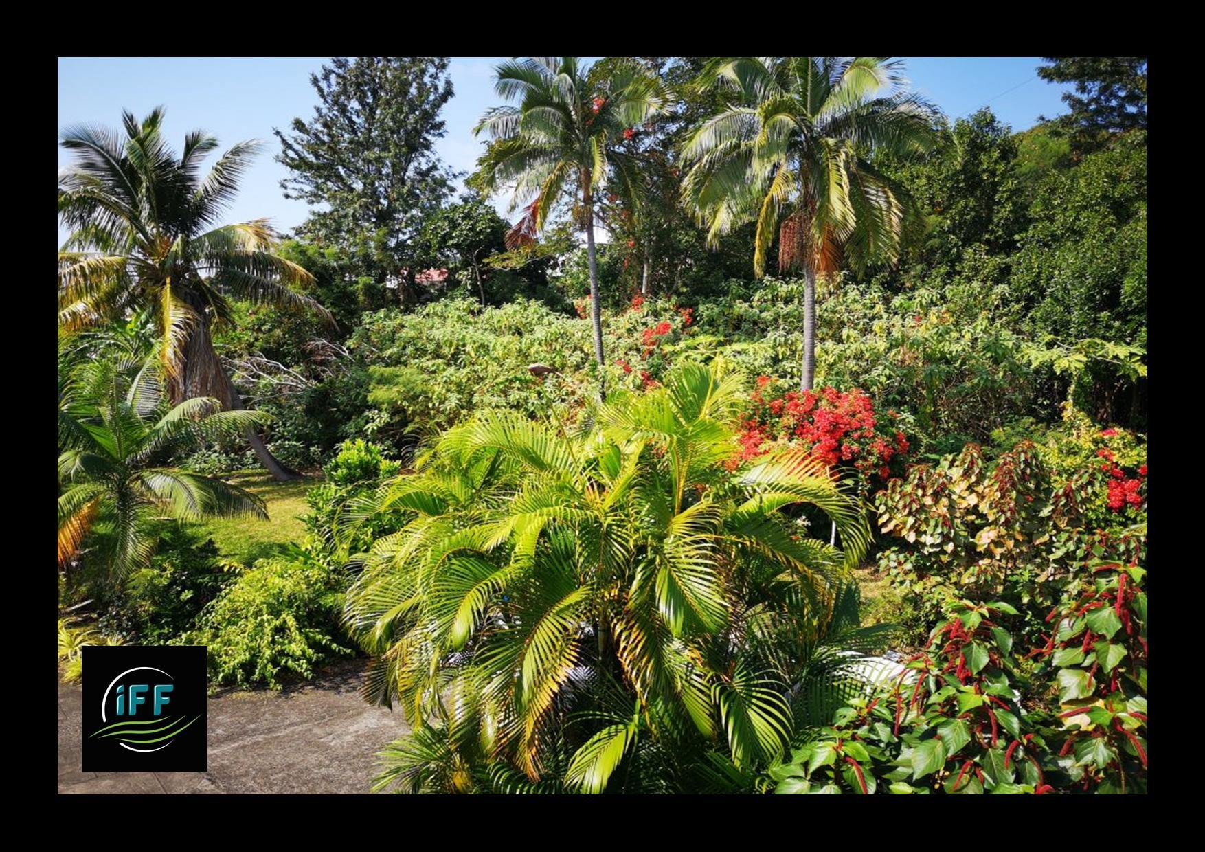 Location maison SainteClotilde (97490) Réunion Nord Réf. CG2006G177