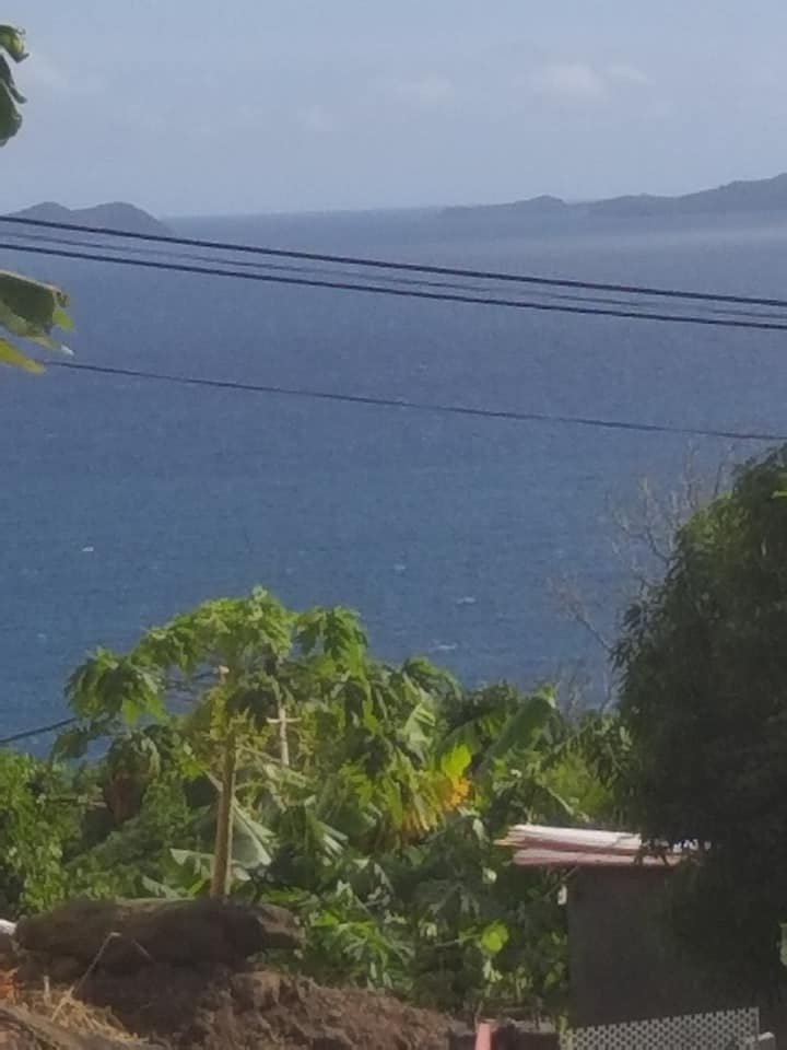 Achat immeuble Trois Rivières (97114) Guadeloupe Basse Terre Sud Réf