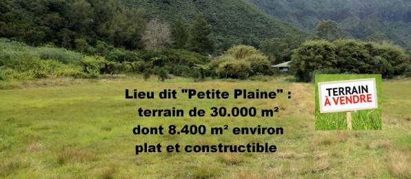 Achat Terrain Plaine des Palmistes (97431) - REUNION
