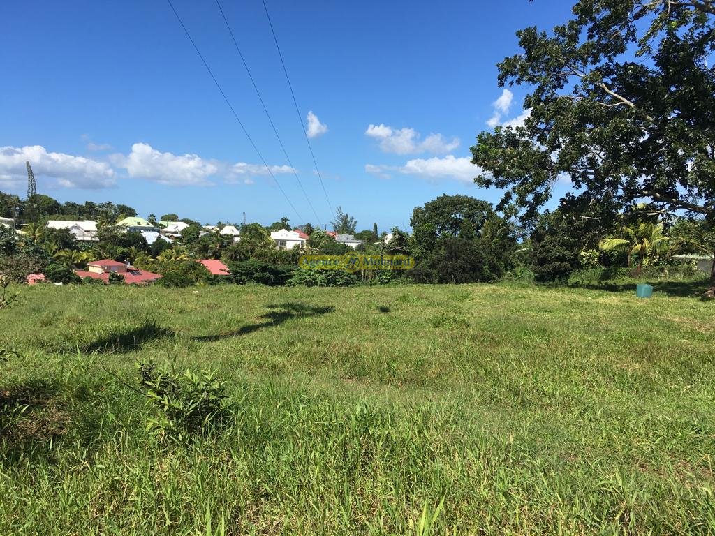 Achat terrain Petit Bourg (97170) Guadeloupe Basse Terre Nord Réf