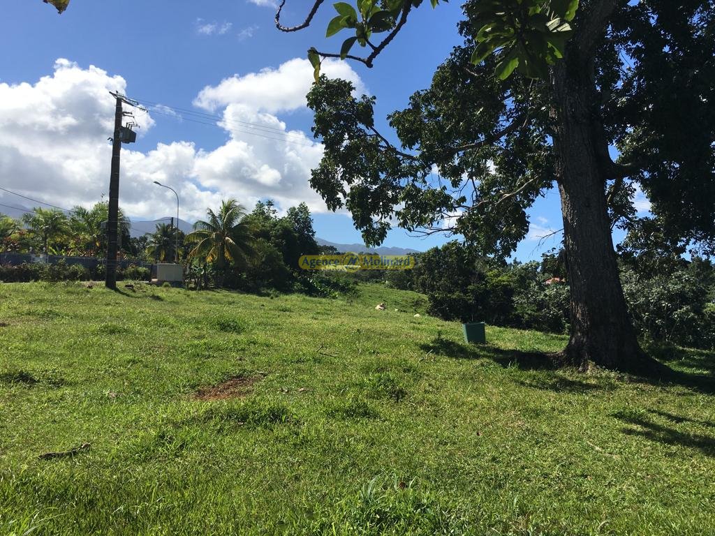 Achat terrain Petit Bourg (97170) Guadeloupe Basse Terre Nord Réf