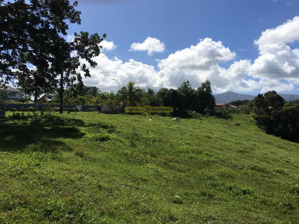 Achat terrain Petit Bourg (97170) Guadeloupe Basse Terre Nord Réf