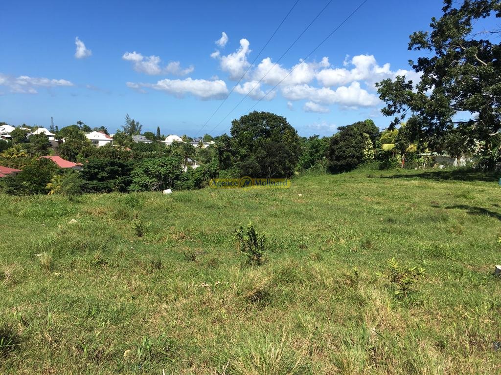 Achat terrain Petit Bourg (97170) Guadeloupe Basse Terre Nord Réf