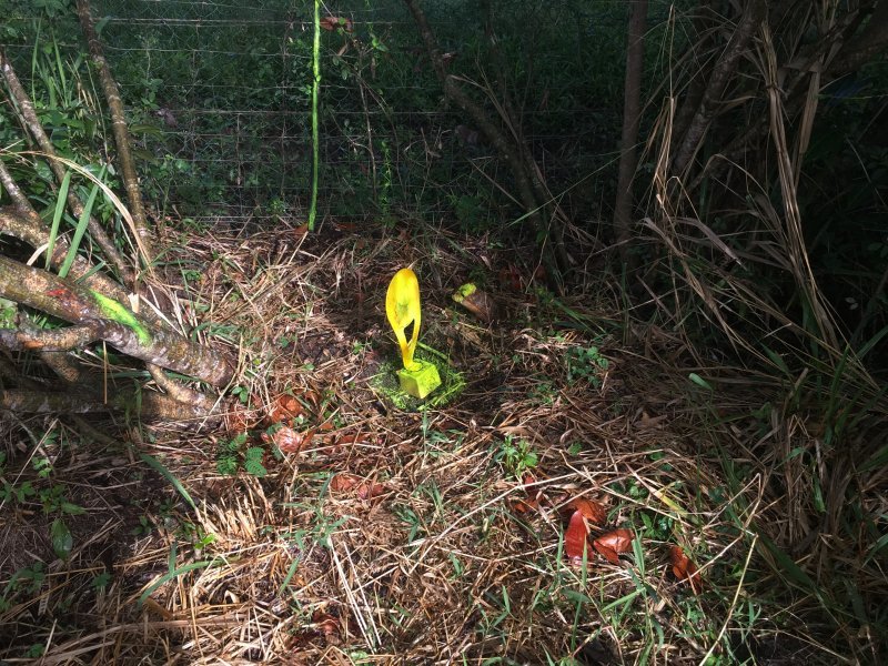 Achat terrain Le Moule (97160) Guadeloupe Grande Terre Nord Réf. 18143