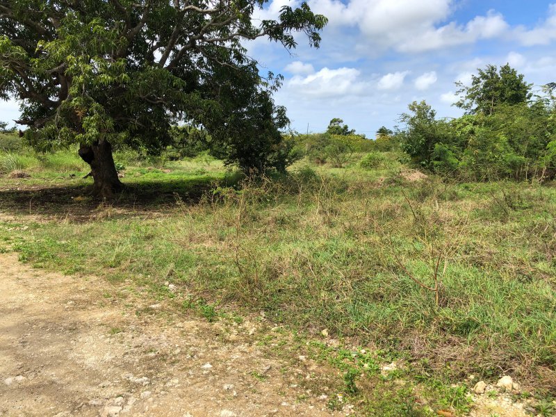 Achat terrain Petit Canal (97131) Guadeloupe Grande Terre Nord Réf. VTE10002026