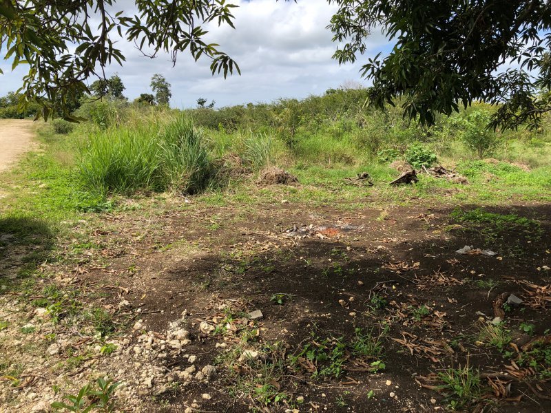 Achat terrain Petit Canal (97131) Guadeloupe Grande Terre Nord Réf. VTE10002026