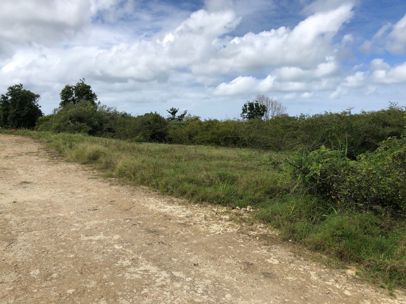 Achat terrain Petit Canal (97131) Guadeloupe Grande Terre Nord Réf. VTE10002026