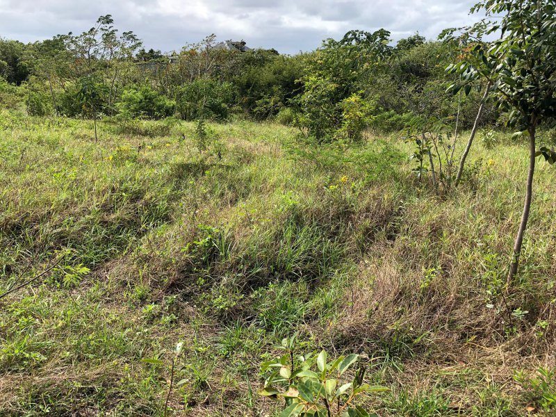 Achat terrain Petit Canal (97131) Guadeloupe Grande Terre Nord Réf. VTE10002026