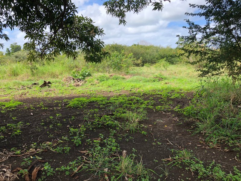 Achat terrain Petit Canal (97131) Guadeloupe Grande Terre Nord Réf. VTE10002026