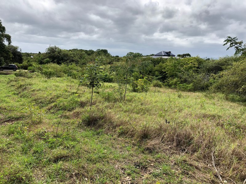 Achat terrain Petit Canal (97131) Guadeloupe Grande Terre Nord Réf. VTE10002026