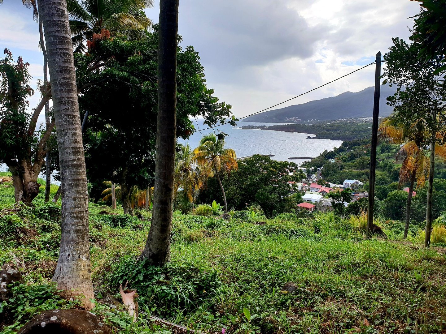 Achat terrain Trois Rivières (97114) Guadeloupe Basse Terre Sud Réf. 14965