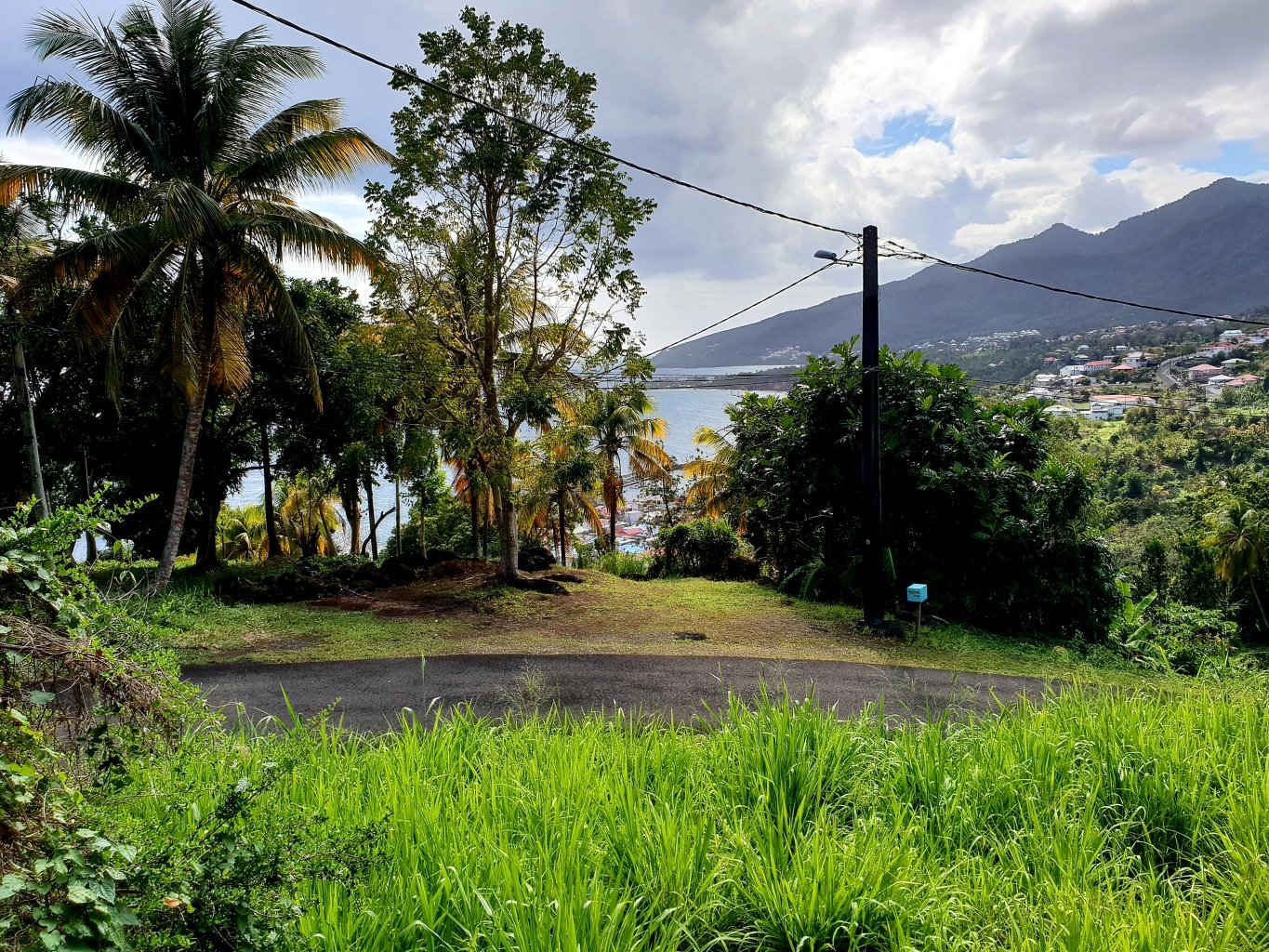 Achat terrain Trois Rivières (97114) Guadeloupe Basse Terre Sud Réf. 14965