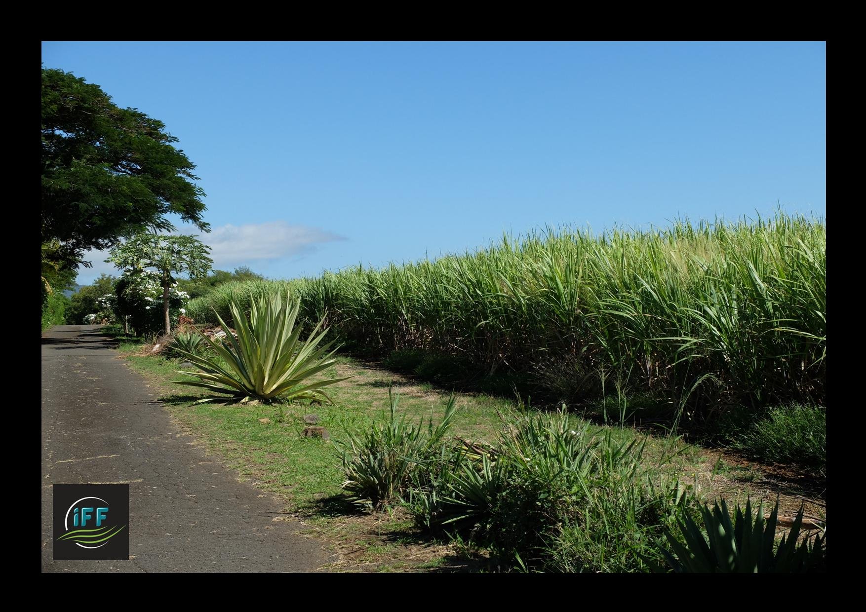 Achat terrain SainteMarie (97438) Réunion Nord Réf. ADE1904810