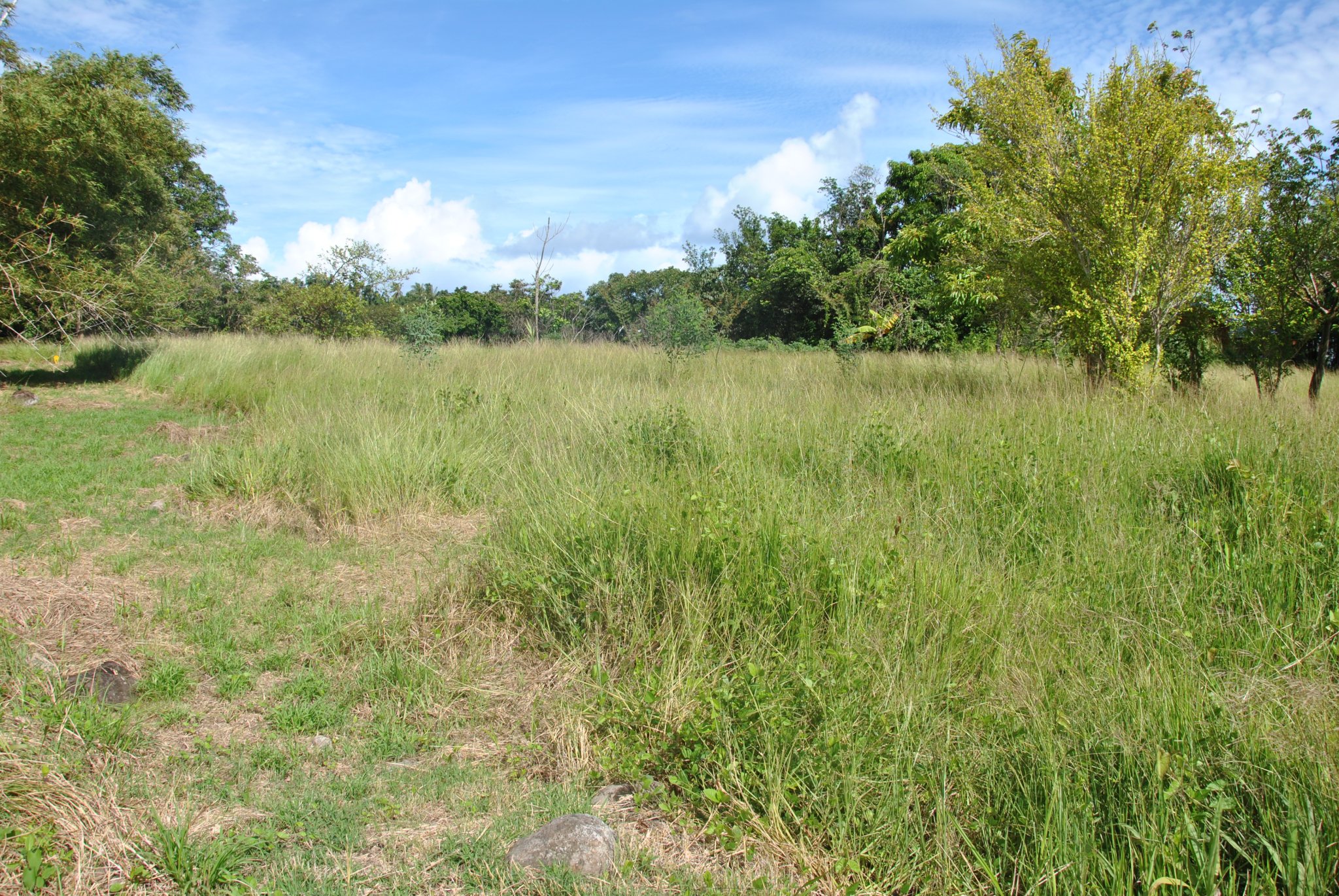 Achat terrains Les Abymes (97139) Guadeloupe Centre Réf. 3468