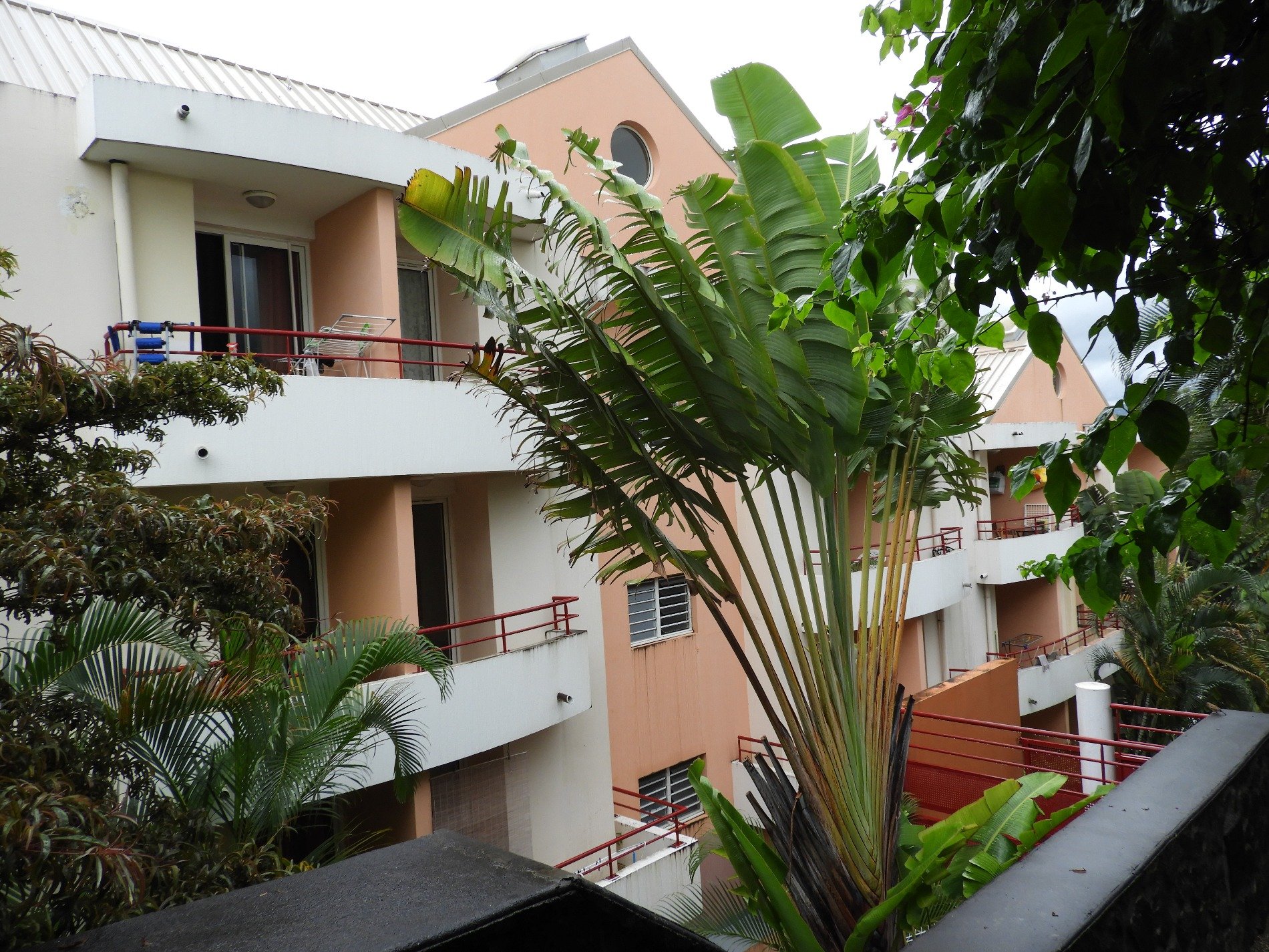 Apavou location appartement reunion