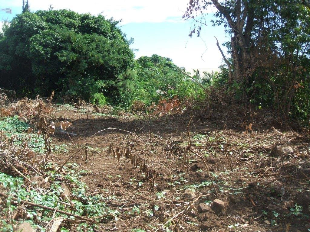 Achat terrain SainteClotilde (97490) Réunion Nord Réf. 6881755