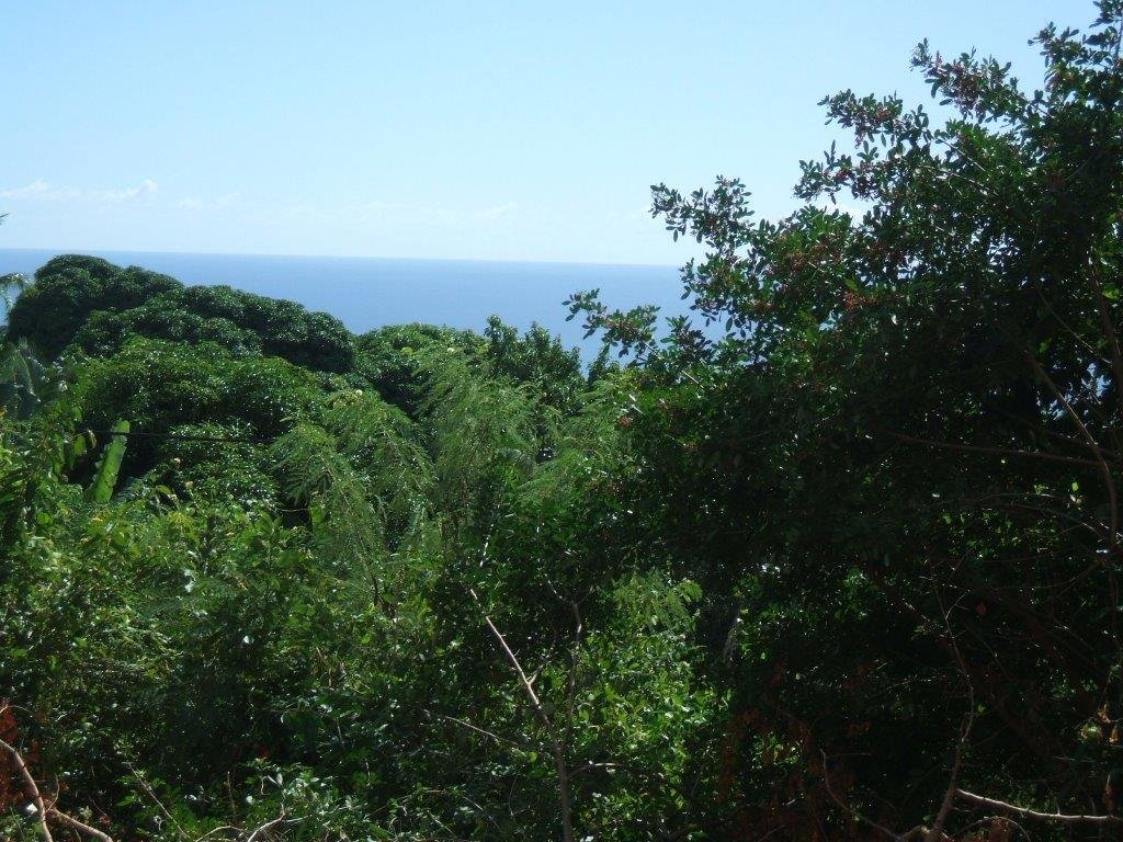 Achat terrain SainteClotilde (97490) Réunion Nord Réf. 6881755