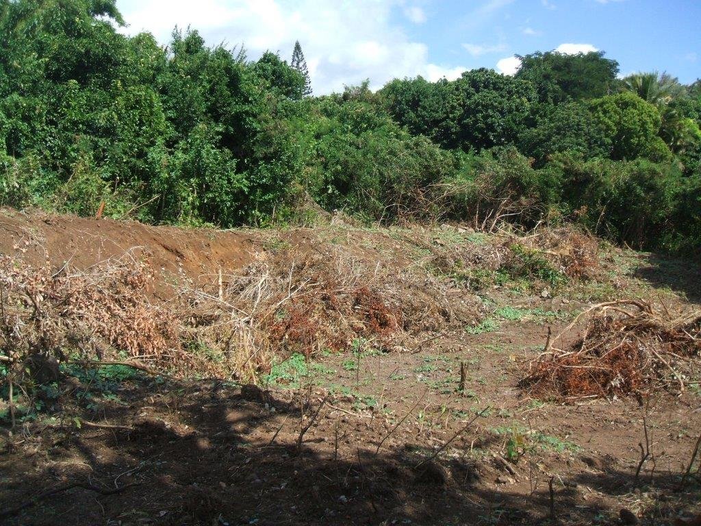 Achat terrain SainteClotilde (97490) Réunion Nord Réf. 6881755