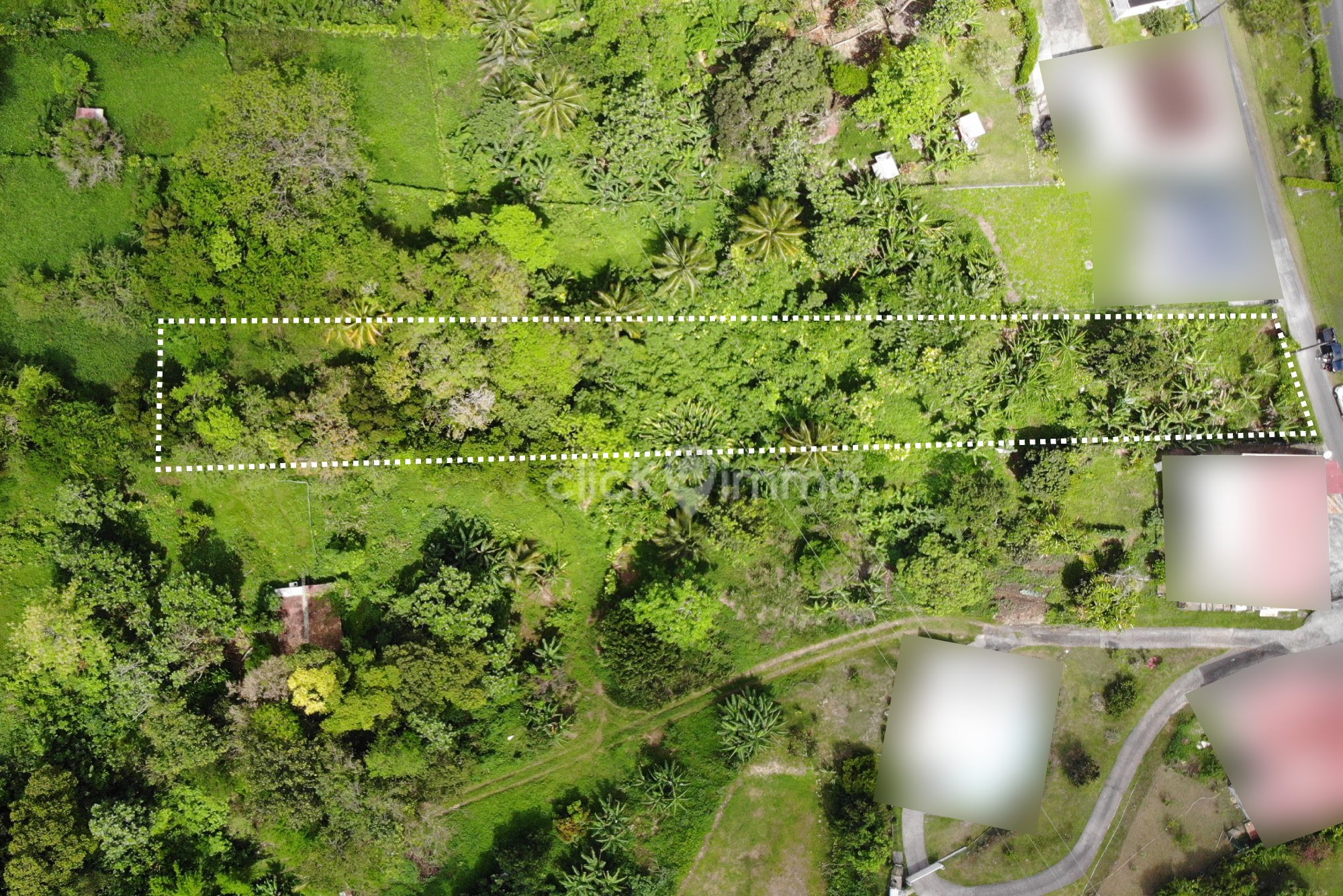 Achat terrain Le Moule (97160) Guadeloupe Grande Terre Nord Réf. 14997