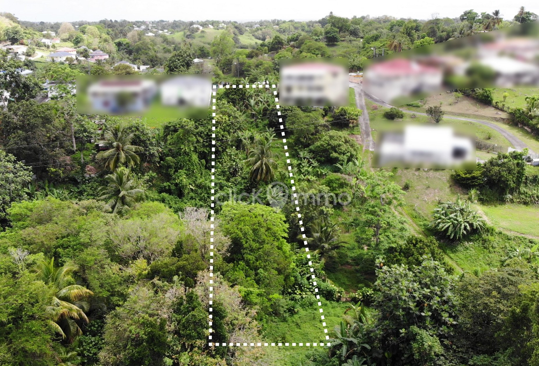 Achat terrain Le Moule (97160) Guadeloupe Grande Terre Nord Réf. 14997