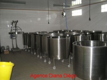 Achat  Distillerie Diego Suarez  () - MADAGASCAR