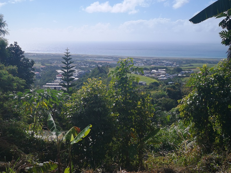 Achat terrain SainteMarie (97438) Réunion Nord Réf. 6275VNEB