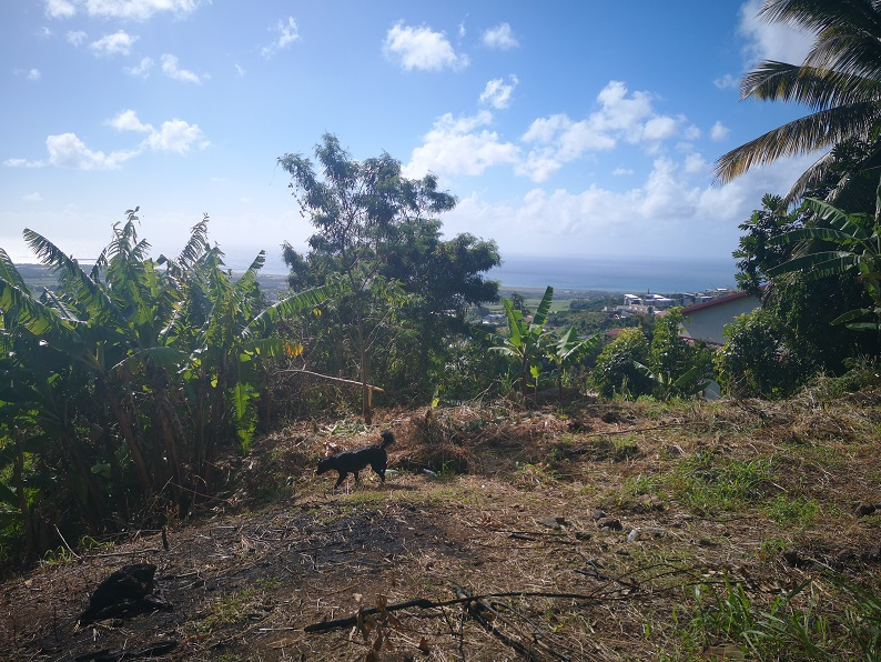 Achat terrain SainteMarie (97438) Réunion Nord Réf. 6275VNEB