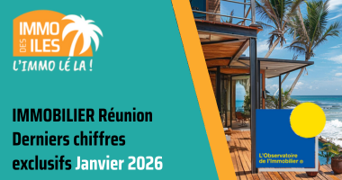 impact des métropolitains sur le marché réunionnais : mythe ou réalité  ?